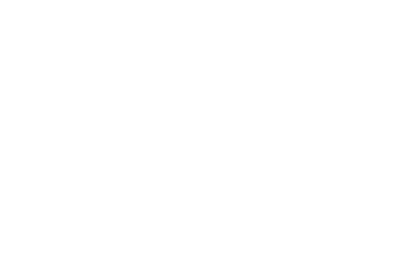 Sporting Island